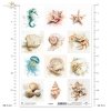 Muszle, małże, ślimak, perła, plaża, ocean, natura, akwarela, konik morski, meduza, jeżowiec, krab, rozgwiazda, fauna*Sea shells, clams, snail, pearl, beach, ocean, nature, watercolor, seahorse, jellyfish, sea urchin, crab, starfish, fauna